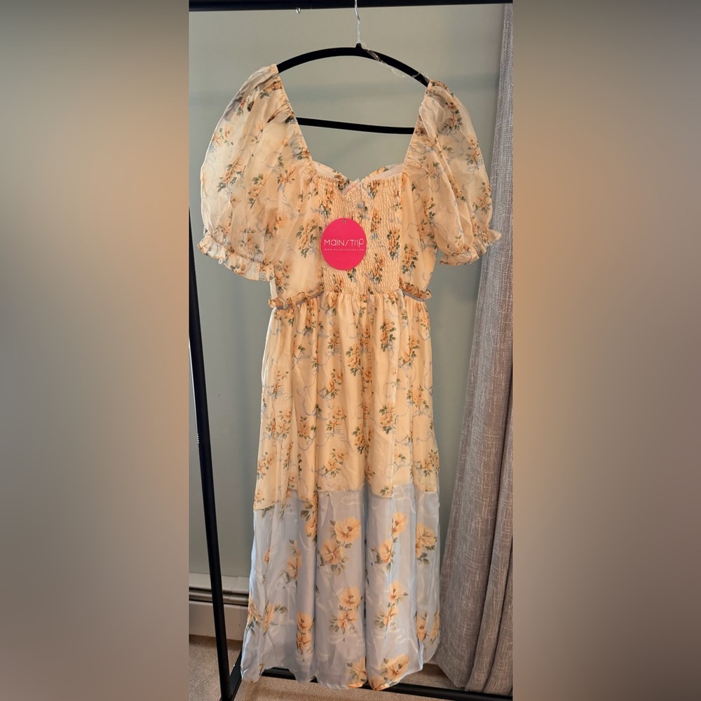 LOVE SHACK FANCY vibes Main Strip Floral Dress in Cream and blue - Picture 2 of 3